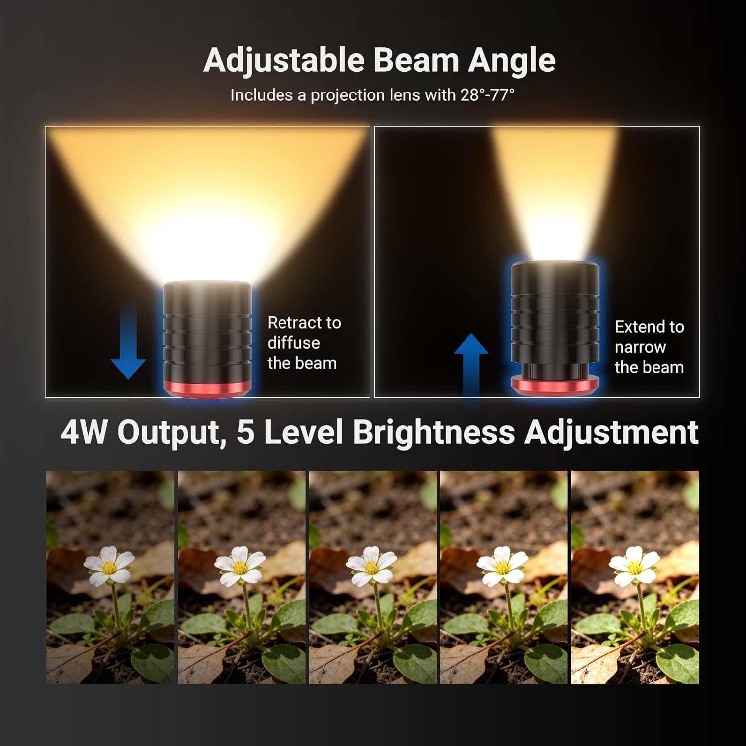 NEEWER BASICS 2 sztuki ML01 US – Photography Lighting Basics recenzja i cena